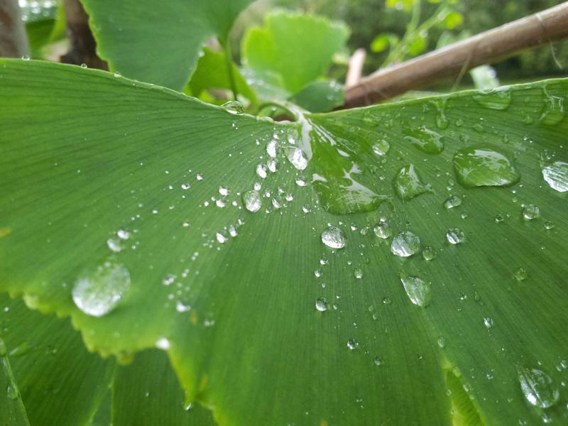海上明月<br>qyf5seag.cn 天涯共此时节